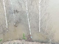 ������ �����