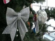 ������ �����