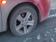 ������ �����