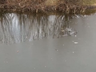 Значок видео