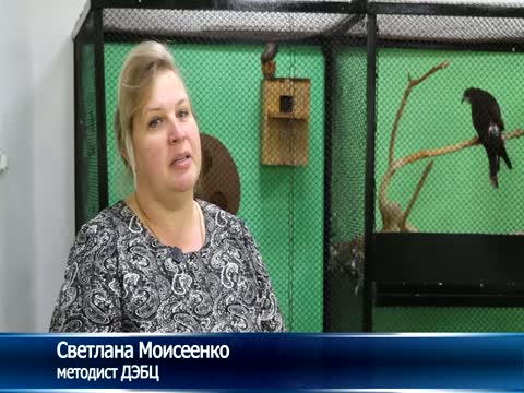 ДЭБЦ приглашает