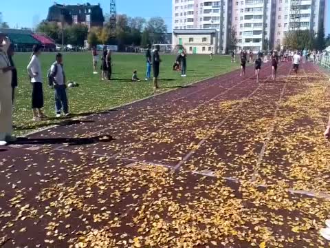 Соревнования легкоатлетов