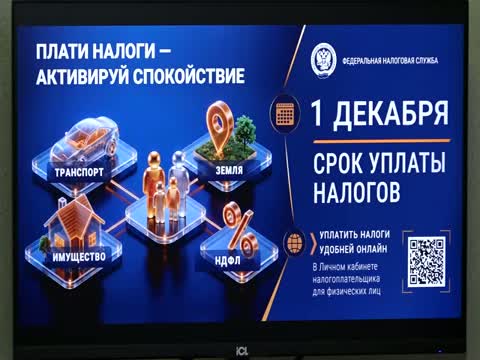 1 декабря истекает срок уплаты имущественных налогов и НДФЛ